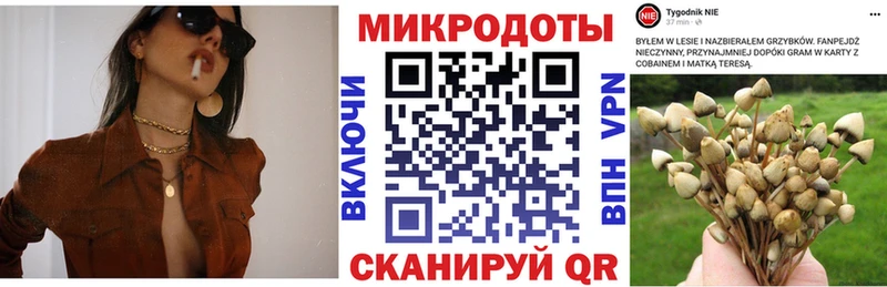 продажа наркотиков  Стерлитамак  Галлюциногенные грибы MAGIC MUSHROOMS 